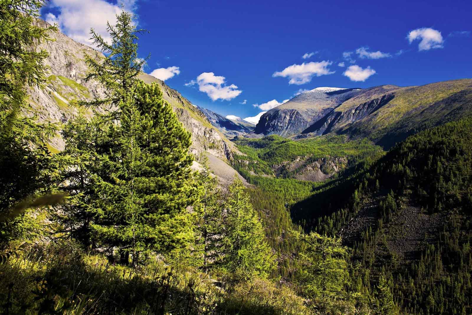 Поляна Изекерю