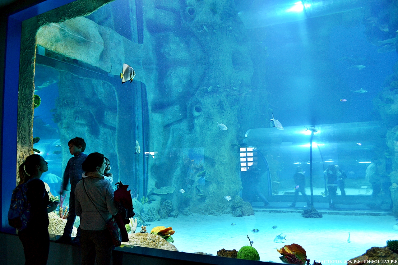 Москвариум